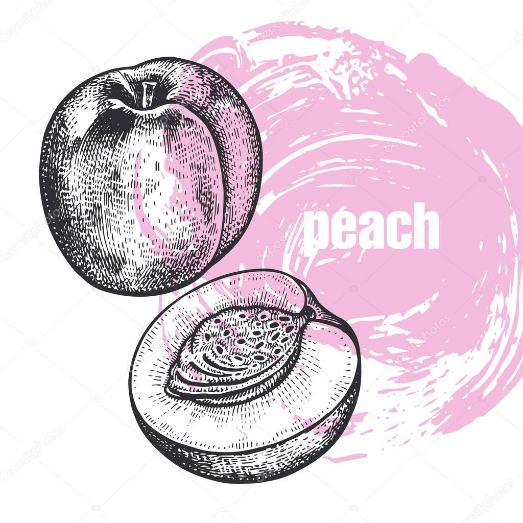Featured image of post Fruit Drawing Realistic Black And White / See more ideas about fruits drawing, clip art, vegetable pictures.