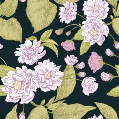 Erik çiçeği siyah arka plan üzerine. Sorunsuz vektör desen.