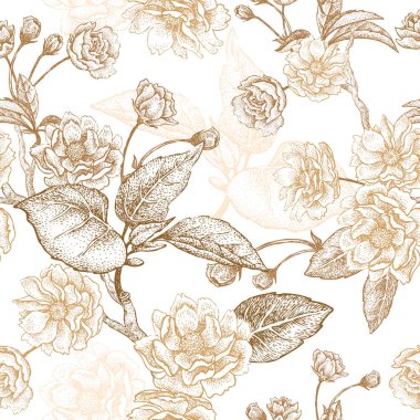 Beyaz zemin üzerine altın nakış. Çin lüks kumaşlar üzerinde tabanlı vektör çizim. El çizimi çiçekli erik ağacı, çiçekler, dalları ve yaprakları. Vintage.