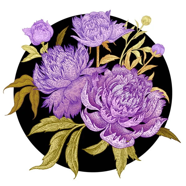 Carte Avec Bouquet Pivoines Isolées Cercle Noir Sur Fond Blanc — Image vectorielle