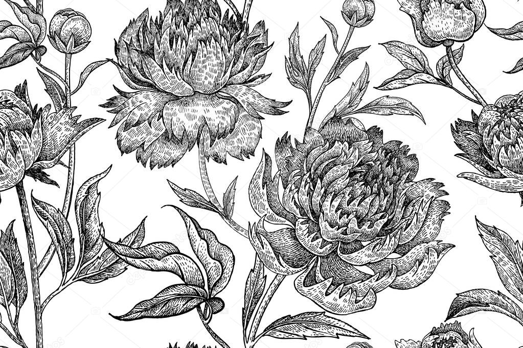 Floral pattern with peonies.