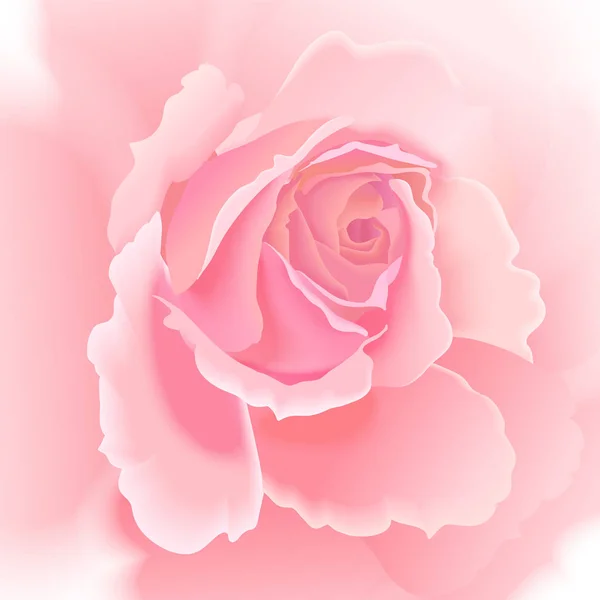 Rosas Cartão Vetorial Jardim Flor Mão Desenho Pastel Ilustração Floral —  Vetores de Stock