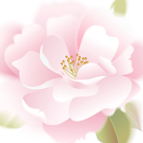 Rosas Tarjeta Vectorial Jardín Flor Mano Dibujo Pastel Ilustración Floral — Vector de stock