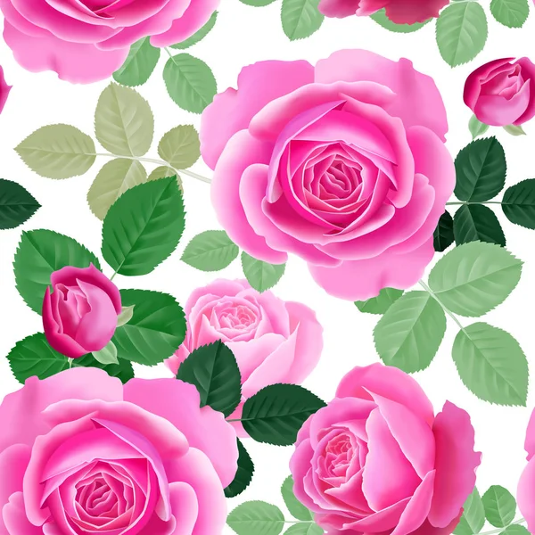 Fiori Giardino Rosa Motivo Floreale Senza Cuciture Illustrazione Vettoriale Modello — Vettoriale Stock