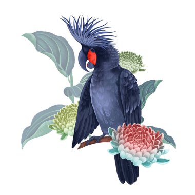 Tropik ağaçların dallarında siyah papağan. Egzotik çiçek dekoru