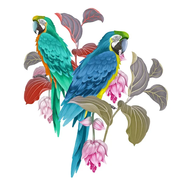 Macaw vogels, bloemen en bladeren van exotische planten. — Stockfoto