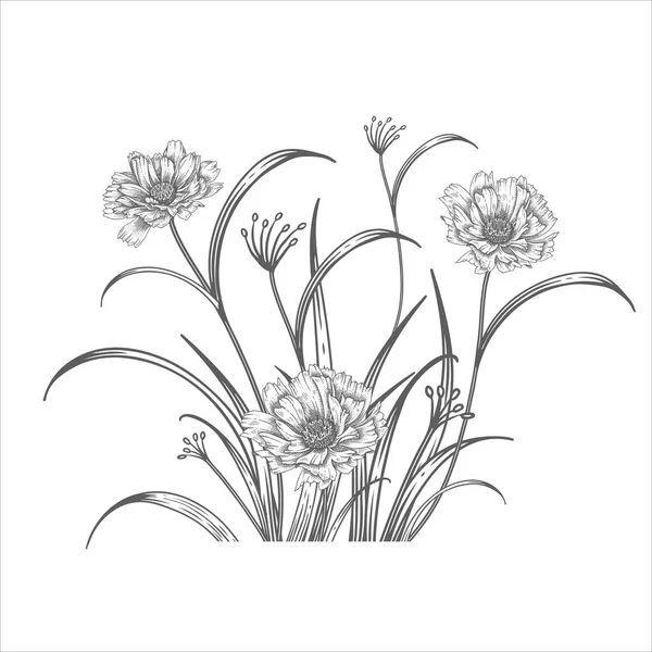 美しい庭の花の花束 カモミール 装飾的な葉やハーブ ヴィンテージ ベクトルイラスト 黒と白だ ファッションデザイン 結婚式のテーマのためのかわいい装飾 — ストックベクタ