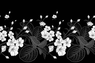 Bahar çiçekli, dikişsiz desen. Çiçekli Japon kirazı. Ağaç dalları ve tatlı bir kuş. Vektör çizimi. Tekstil, kağıt, duvar kağıdı şablonu. Siyah arka planda beyaz çiçekler. Kenarlık
