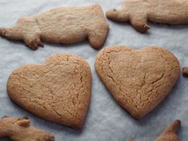 Noel için taze pişmiş zencefilli kurabiye..
