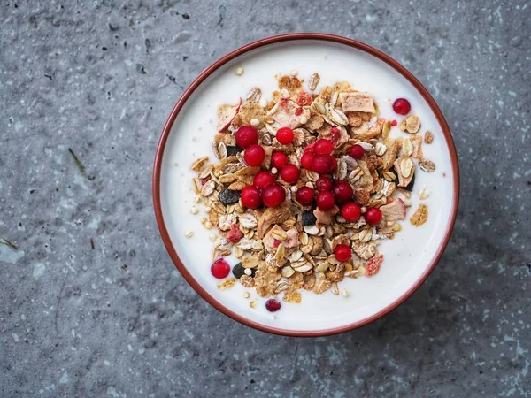 Bowl Joghurt Müzli Áfonya Szürke Beton Háttér — Stock Fotó