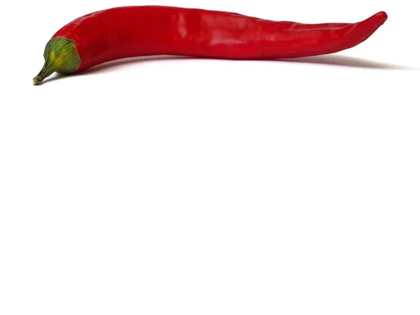 Rote Chili Isoliert Auf Weißem Hintergrund Kopierraum — Stockfoto