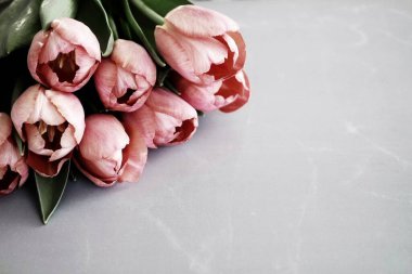 Gri mermer arka planda, fotokopi alanı olan pembe laleler. Klasik düzenleme.