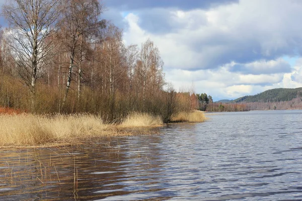 Meer Zweden Het Voorjaar Zweeds Landschap Lente — Stockfoto
