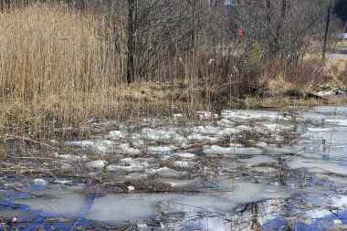 Kışın soğuk gölde buz