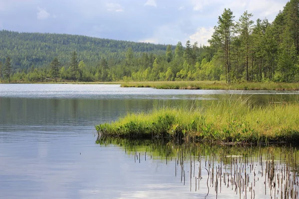 Lago Bosque Suecia Paisaje Natural Sueco Verano — Foto de Stock