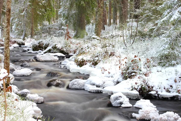 Лісова Течія Зимовий Період Шведська Зимова Ландшафтна Вода — стокове фото