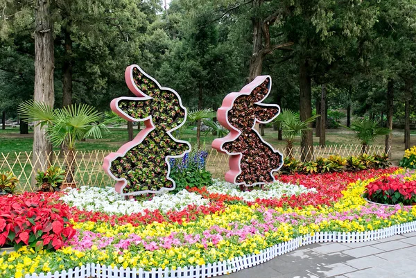flower bed of rabbits form with fresh flowers are on beds with bright multicoloured flowers in the middle of the park