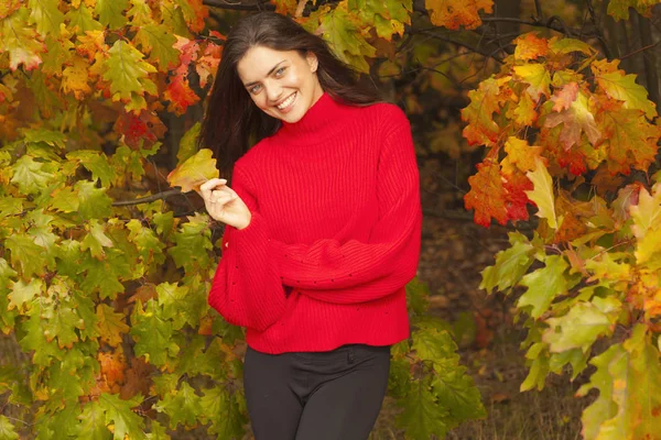 Smiling bruntte in forest during an autumn. — Stock Photo, Image