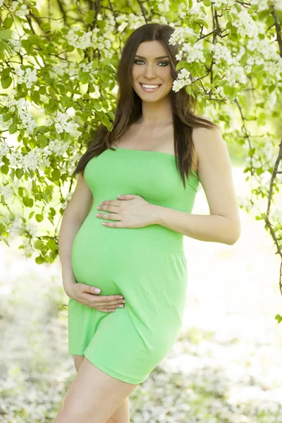 Belle Femme Enceinte Est Assis Sur Herbe Dans Parc — Photo