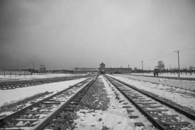 Dikenli tel çit Auschwitz II-Birkenau.