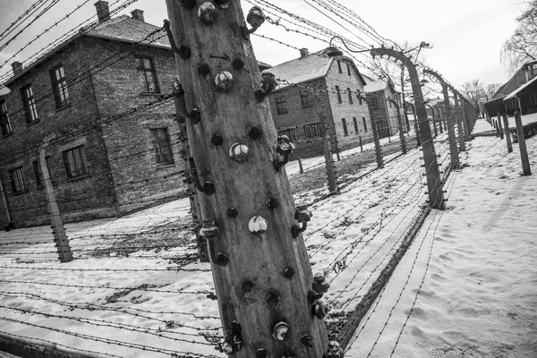 Vallas Alambre Púas Auschwitz Birkenau Triste Historia — Foto de Stock