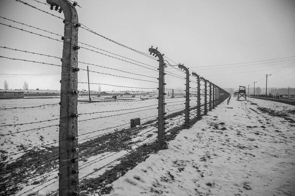 Barbed wire fences in Auschwitz II-Birkenau. The sad history.