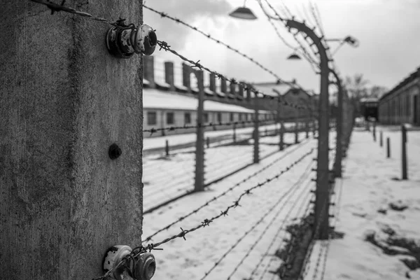 Dikenli Tel Çit Auschwitz Birkenau Üzücü Geçmişi — Stok fotoğraf