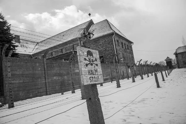 Ostnatý Drát Ploty Osvětimi Birkenau Smutnou Historii — Stock fotografie