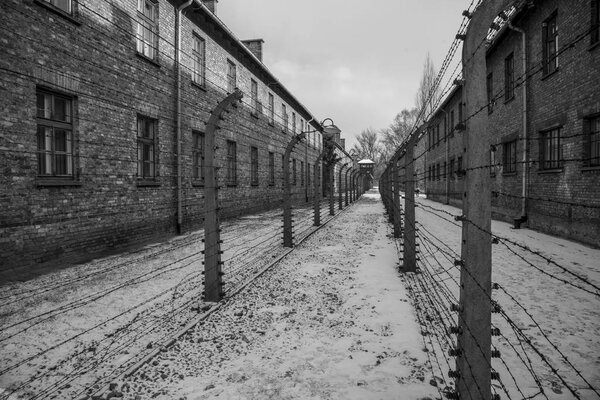 Barbed wire fences in Auschwitz II-Birkenau. The sad history.