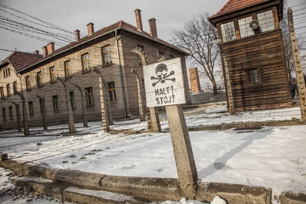 Ostnatý Drát Ploty Osvětimi Birkenau Smutnou Historii — Stock fotografie