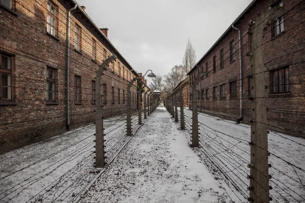 Recinzioni Filo Spinato Auschwitz Birkenau Triste Storia — Foto Stock