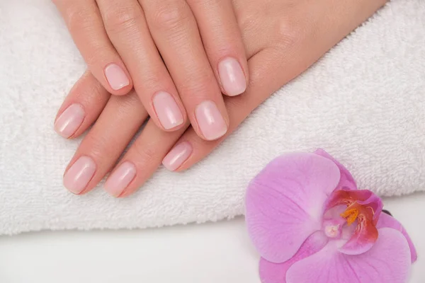 Beuatiful delicate manicure on female hands. The picture of hands lying on the white towel with purple orchid.