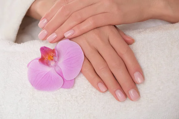 Manicure Delicado Beuatiful Mãos Femininas Imagem Das Mãos Deitadas Sobre — Fotografia de Stock