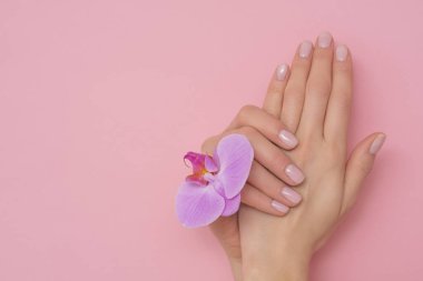Pembe arka planda izole edilmiş orkide çiçekli kadın eli. Fransız, narin manikür.