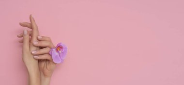 Pembe arka planda izole edilmiş orkide çiçekli kadın eli. Fransız, narin manikür.