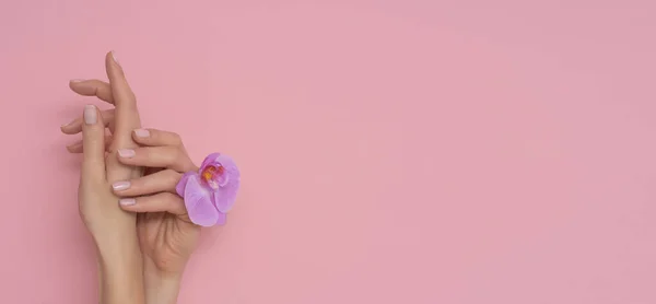 雌手与兰花隔离在粉红色的背景 精致的指甲 — 图库照片