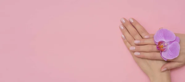 雌手与兰花隔离在粉红色的背景 精致的指甲 — 图库照片