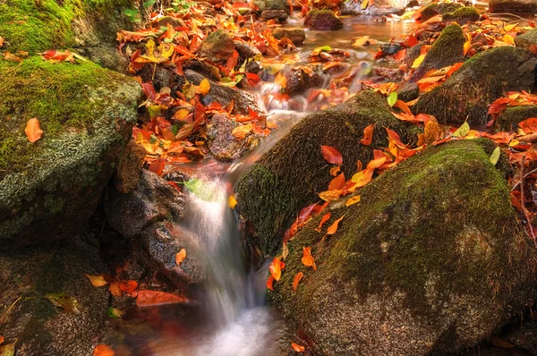 Malé podzimní vodopád — Stock fotografie