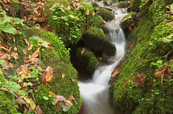 Çok düzeyli şelale peyzaj