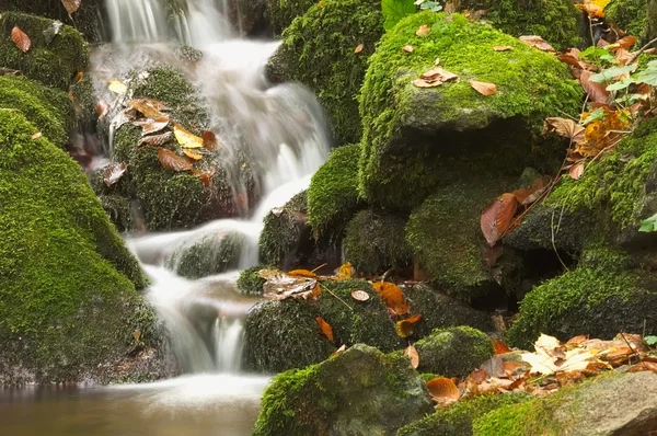 Água branca entre pedras verdes Fotografias De Stock Royalty-Free