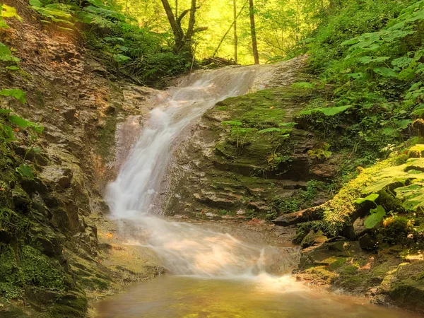 Ormanda zikzak şelale