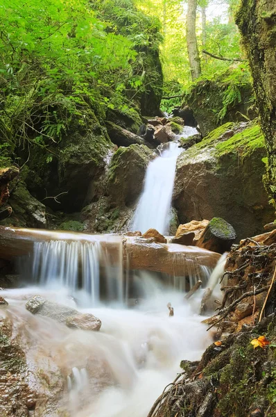 Portre günlük dere içinde