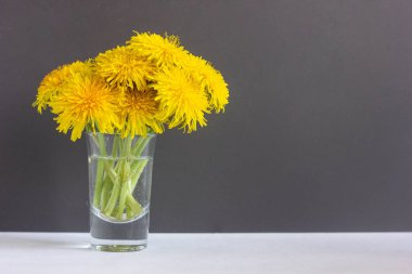 Gri arka planda su olan bir bardakta sarı karahindibalar, bir buket çiçek, beyaz bir masa ve gri bir tahta.