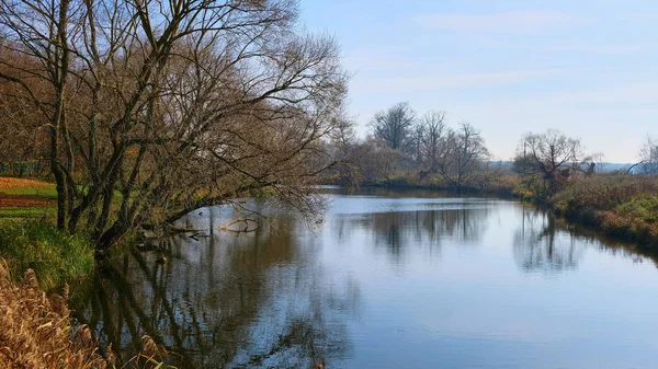 Vista del río en la orilla sobre un fondo de madera —  Fotos de Stock