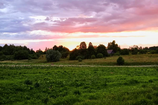 Czerwono-fioletowy zachód słońca nad zielonym polem — Zdjęcie stockowe