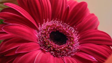 Koyu bordo kapı zinciriName