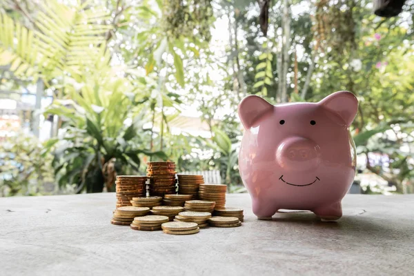 Pink piggy bank and golden coins pile on wooden table with the natural background, step up growing business to success and saving for retirement concept — Stock Photo, Image