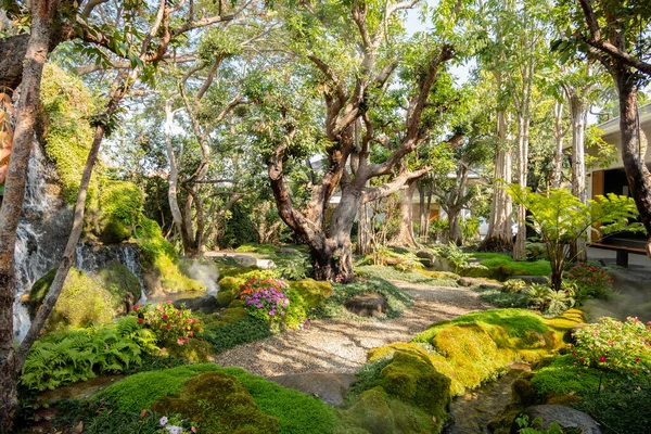 Ogród Drzewa Wodospady Tło Światło Słoneczne Naturalny Piękny Zielony Mogą — Zdjęcie stockowe