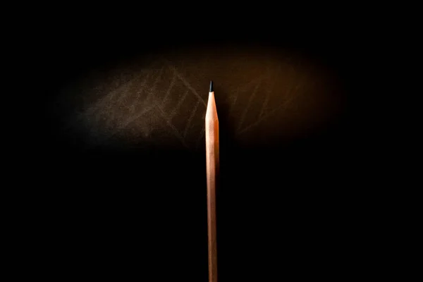 一支铅笔 从光线和阴影中脱颖而出 看上去很简单 但表现出力量 耐力和领导能力 — 图库照片