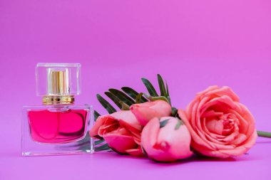 Gülden elde edilen şişelerdeki temel yağ.